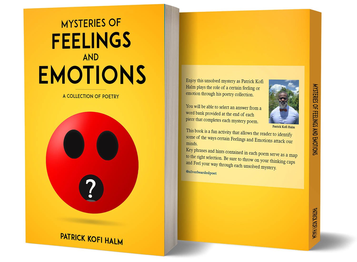 bookconsilio-portfolio-MYSTERIES OF FEELINGS AND EMOTIONS-paperbackcover-bookckoverdesign